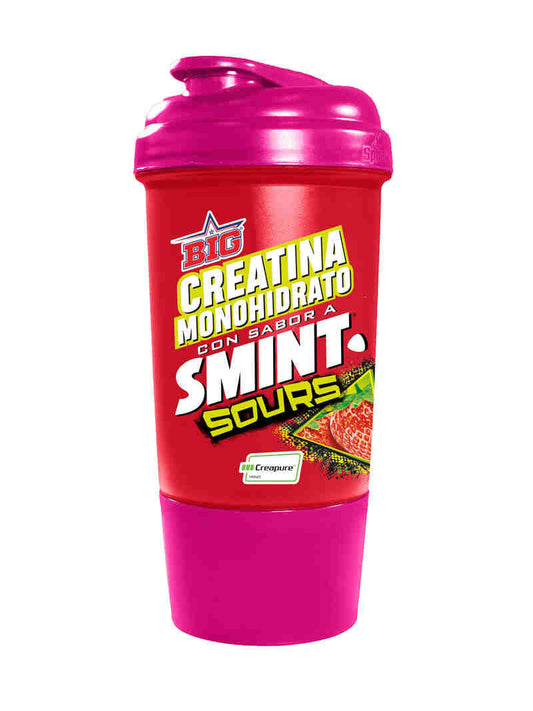 SHAKER SMINT FRESA 500 ML DE BIG